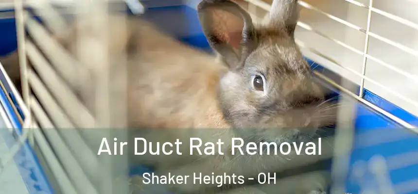  Air Duct Rat Removal Shaker Heights - OH