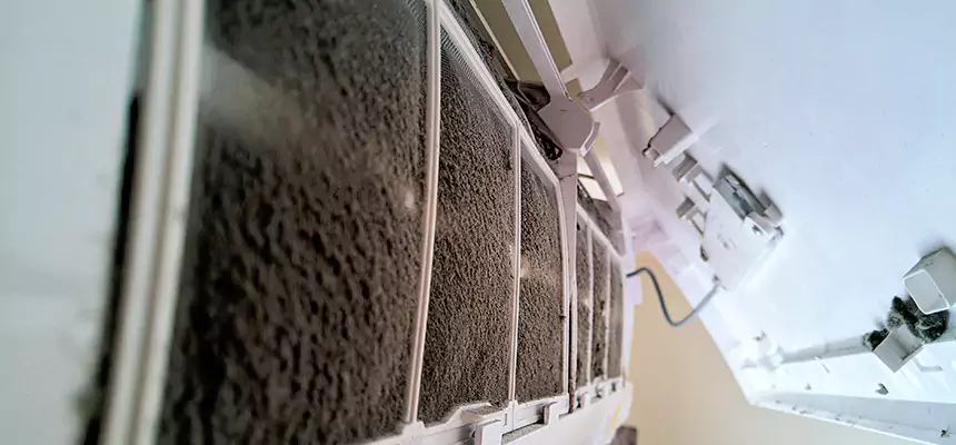 Preventive Air Duct Bacteria Removal in Shaker Heights