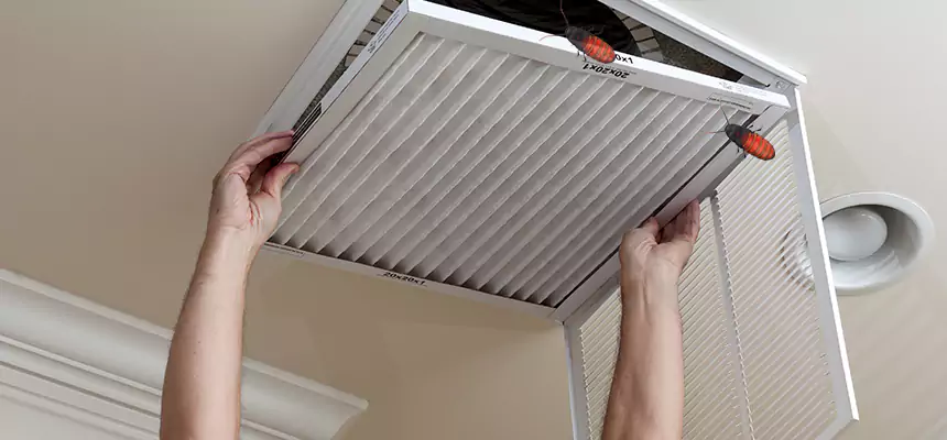 Preventive Cockroach-Proofing for Ducts in Shaker Heights