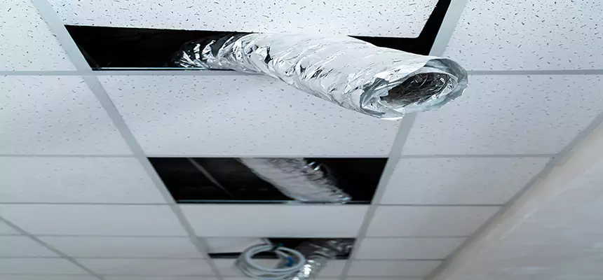 Our Air Duct Pet Hair Removal Services in Shaker Heights, OH