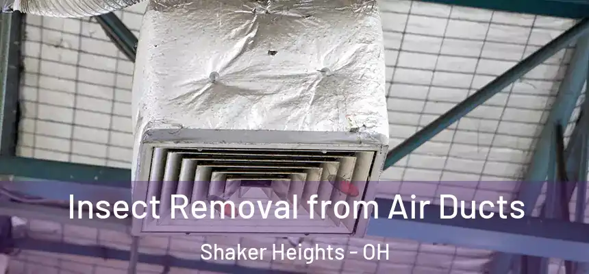  Insect Removal from Air Ducts Shaker Heights - OH
