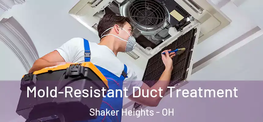  Mold-Resistant Duct Treatment Shaker Heights - OH