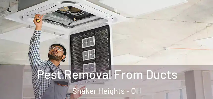  Pest Removal From Ducts Shaker Heights - OH