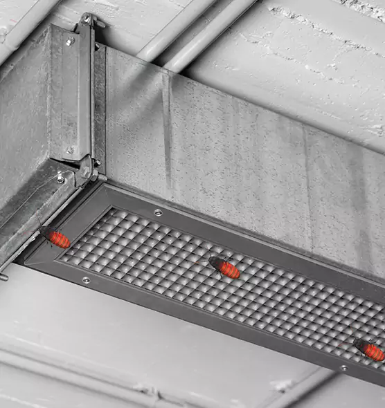 About Air Duct Cockroach Removal in Shaker Heights, OH