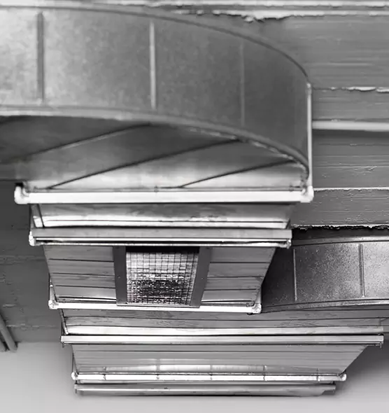 Professional Air Duct Pet Hair Removal in Shaker Heights, OH